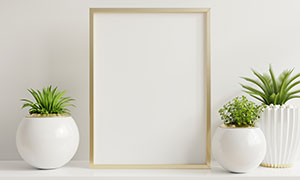 绿植花盆与空白装饰画渲染高清图片