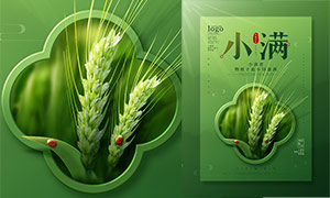 绿色麦穗主题小满节气海报设计PSD素材
