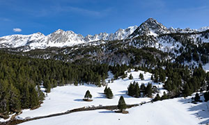 雪山植被树木自然风光摄影高清图片