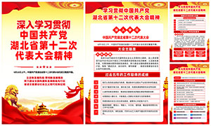 湖北省第十二次党代会精神挂图设计模板