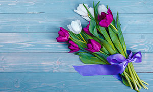 紫色緞帶包起來的花束攝影高清圖片
