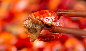 用筷子夹起来的麻辣小龙虾摄影图片