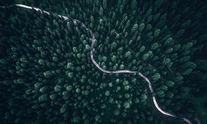 森林公路風光航拍視角攝影高清圖片