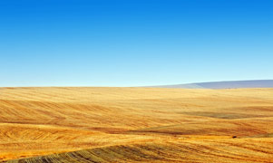 秋季蓝天下的草原景观摄影图片