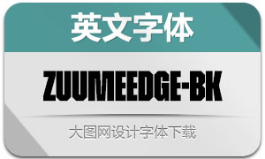 ZuumeEdge-Black(Ӣ)