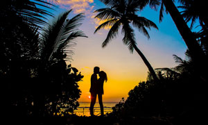 傍晚海边情侣剪影和椰树摄影图片