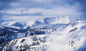 冬季山林中的美麗雪景攝影圖片