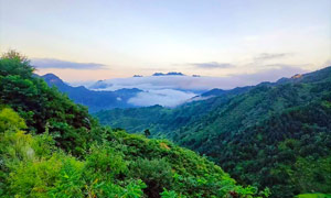 清晨大山中的云雾景观摄影图片