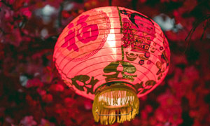 中國風紅燈籠特寫攝影圖片