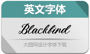 Blackbird(英文字体)
