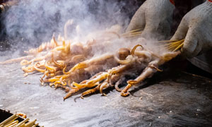 铁板鱿鱼特色美食摄影图片