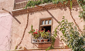 墙壁窗台上的花盆植物摄影高清图片