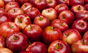 色泽诱人的香甜红苹果摄影高清图片