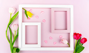 郁金香花朵裝飾的邊框創意高清圖片