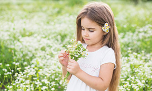 拿一束小雛菊鮮花的小女孩攝影圖片