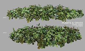 綠葉園林植物裝飾適用PSD分層素材