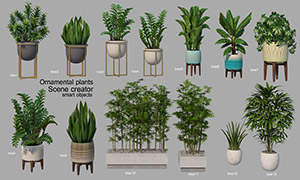 園林與室內場景用綠葉植物分層素材