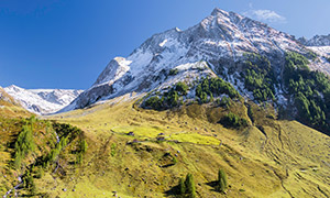 藍天雪山腳下茂密植被風光攝影圖片