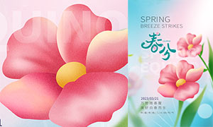 3D花朵主题春分节气宣传海报PSD素材