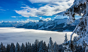 云海與連綿的雪山風光攝影高清圖片