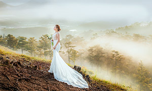 在山坡拍婚纱照的美女摄影高清图片