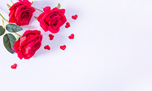 心形元素与红色的玫瑰花朵摄影图片