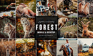 森林野生動物攝影棕色調LR預設素材