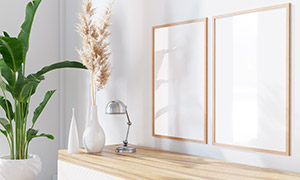 室内绿植装饰与空白的画框高清图片