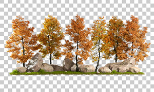石头与秋天叶子泛黄的树木免抠图片