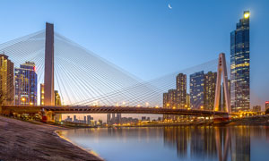 夜幕下的杨泗港大桥美景摄影图片