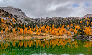 山峦与湖畔的树木秋日风光摄影图片