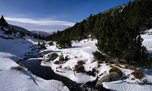河流树木与满山的白雪风光摄影图片