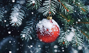 雪后树上的圣诞球特写摄影高清图片