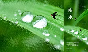叶子上的水滴主题雨水手机端海报PSD素材