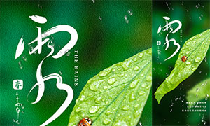 绿叶和水滴主题雨水节气手机端海报