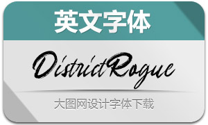 DistrictRogue(Ӣ)