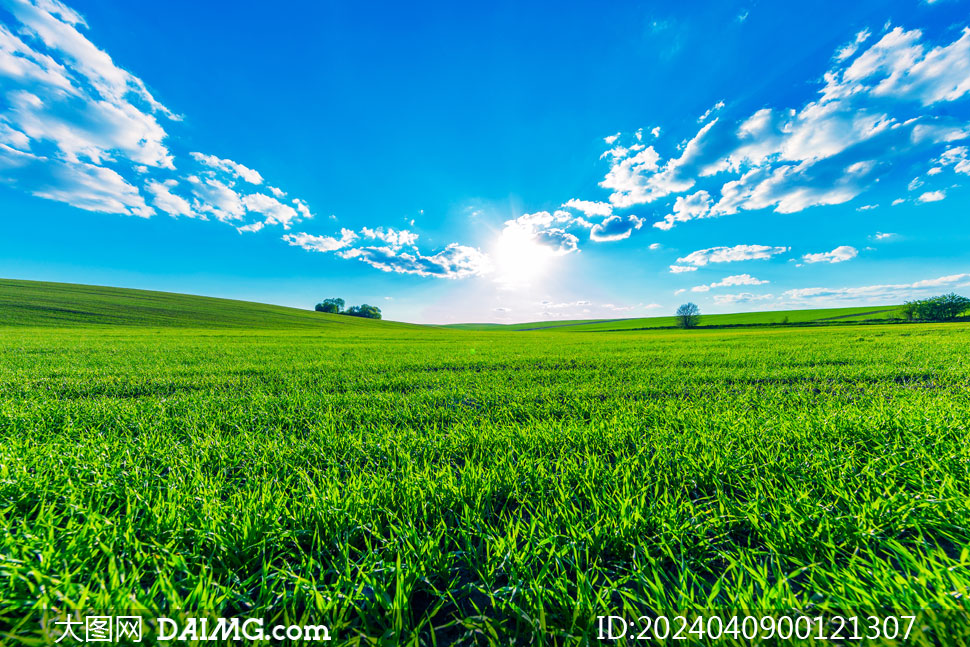 蓝天白云下的草原美景摄影图片