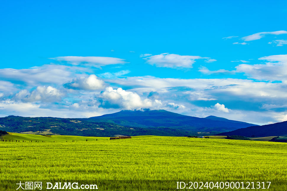 蓝天白云下的草原风光摄影图片