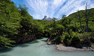 高山叢林與流淌的河水風光攝影圖片