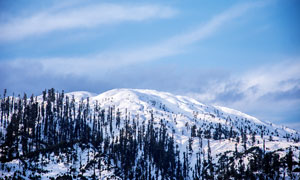 冬季雪后大山美景攝影圖片