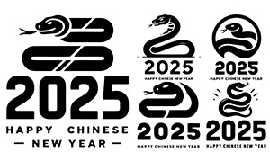 2025ͼϴʸز