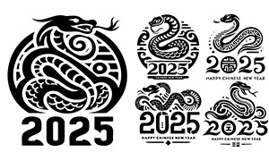 2025ڰ׼宋(hu)(chung)ʸز