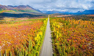 公路樹木植被與遠(yuǎn)處的山巒攝影圖片