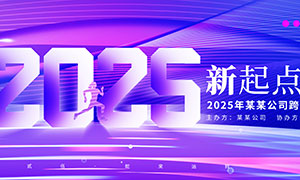 2025괴̨չPSDز