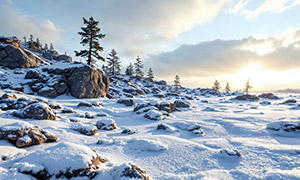 山坡上披上雪白外衣的巖石風景圖片