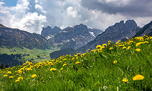 瑞士阿爾卑斯山區(qū)夏日美景攝影圖片