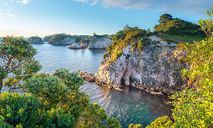 海岸峭壁景观与茂密的植被摄影图片