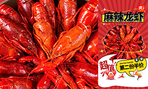 СϺڶݰۻPSDز