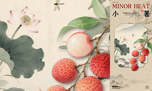 ŹʻСPSDز