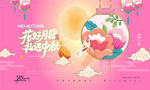 紴չز